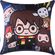 Almofada-Microfibra-40X40-Toy-Harry-Potter-Rpt