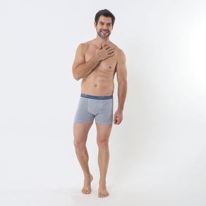 Cueca-Boxer-Cinza-Basica---Lupo
