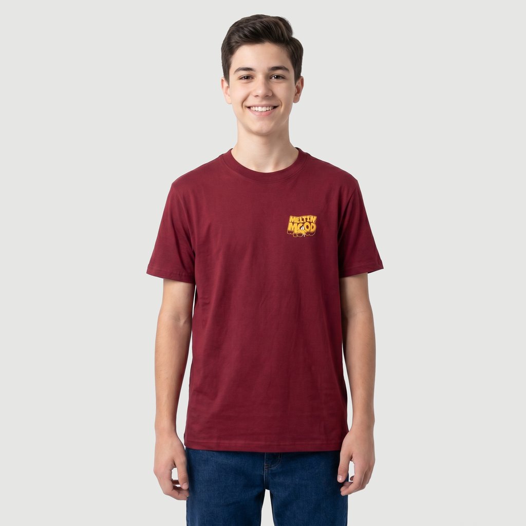 Camiseta Regular Masculina Manga Curta Patolino Vinho - Warner